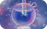 IVF Treatment
