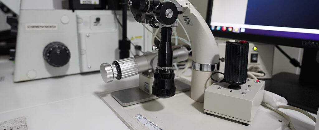 ivf clinic in hisar