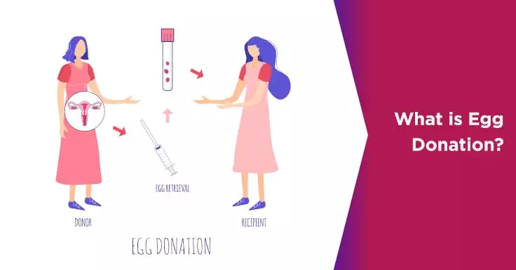 Egg Donation