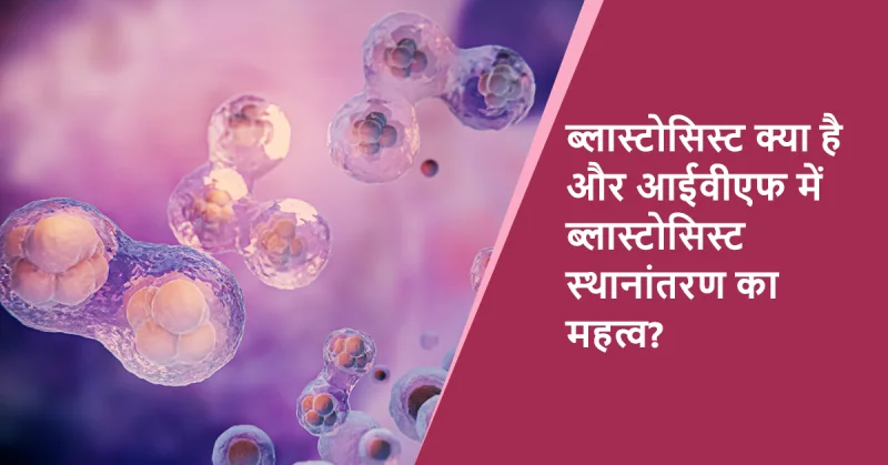  Blastocyst Formation Explained in Hindi for IVF Success