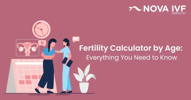 Fertility Calculator by Age: Predict Your Chances of Conceiving