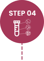 STEP 04.png