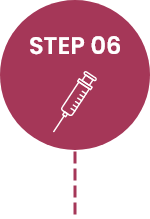 STEP 06.png