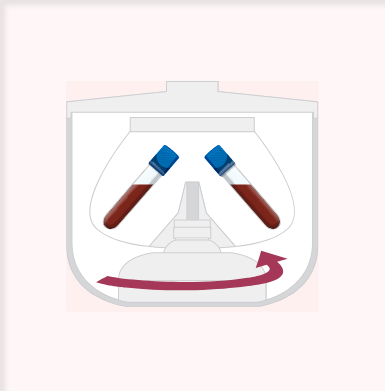 image2.png