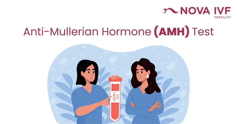 Anti-Mullerian Hormone Test