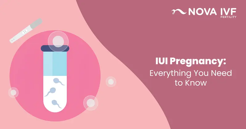 IUI Pregnancy