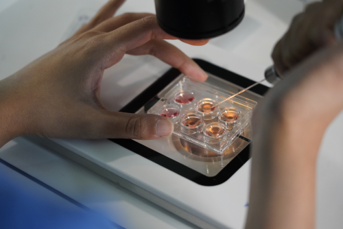 Nova IVF Fertility Hospital in Kolkata