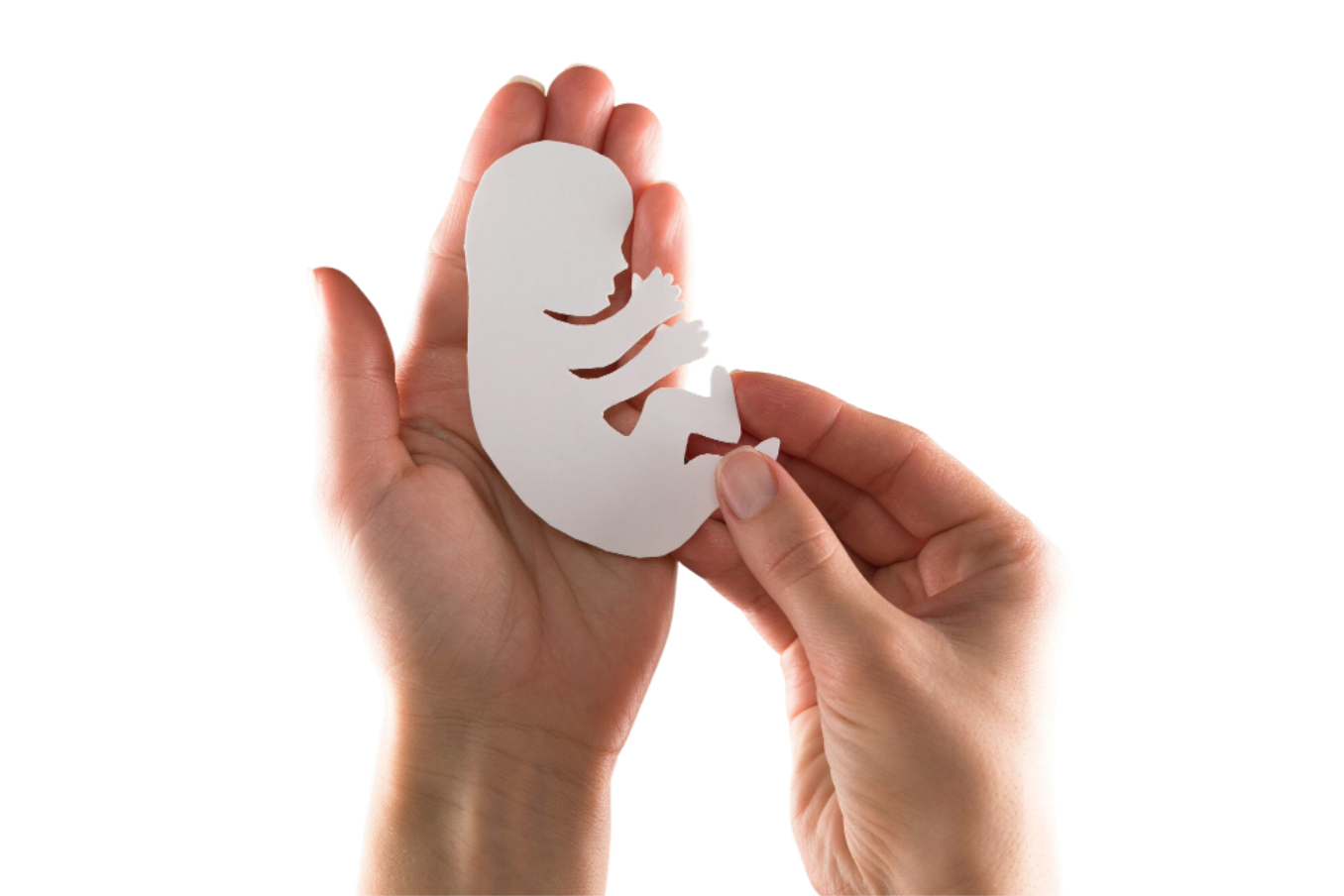 embryo-silhouette-wo.png