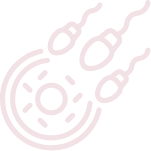 In-Vitro Fertilisation (IVF)